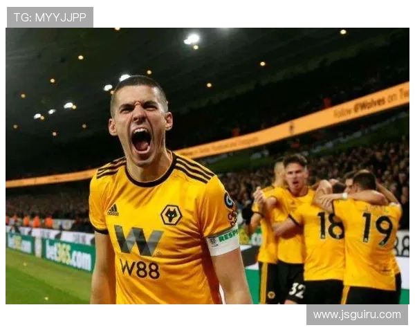 西布朗是否属于英超球队？俱乐部升降级历史回顾